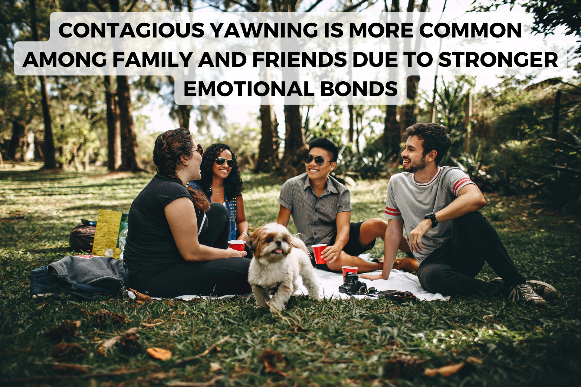 contagious yawning is common among friends